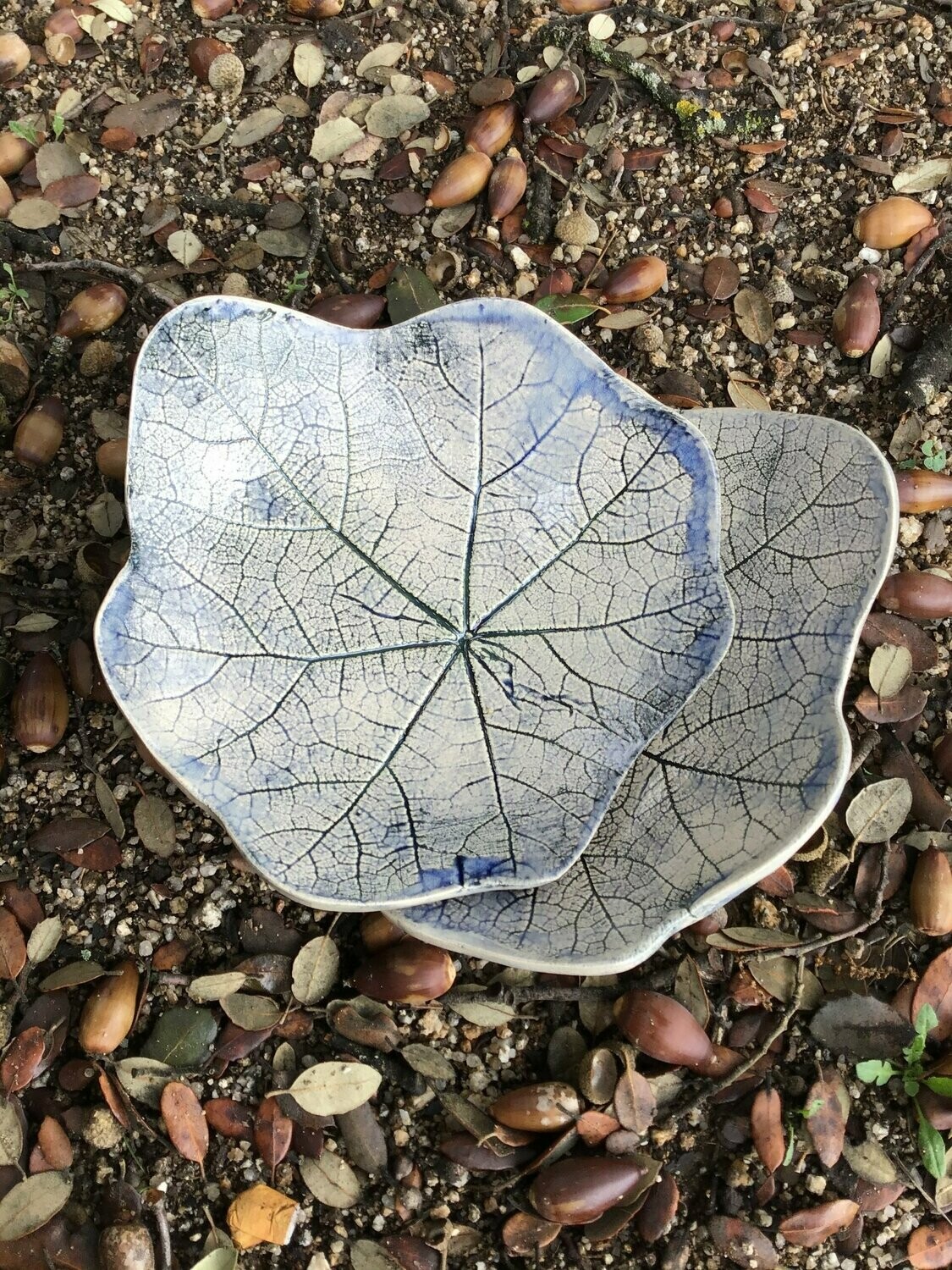 Hoja de Malva Azul 17 cm.