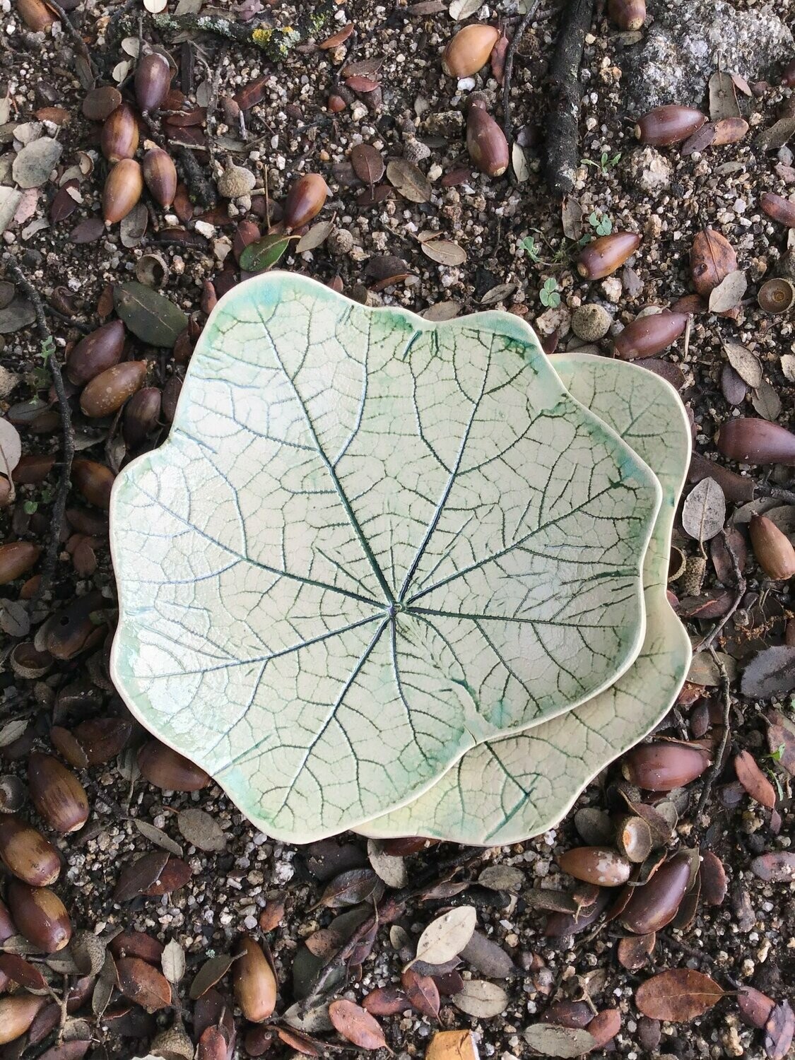 Hoja de Malva Verde Claro   17 cm.