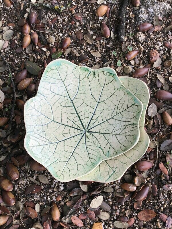 Hoja de Malva Verde Claro   17 cm.