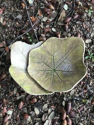 Hoja de Malva Verde Oscuro