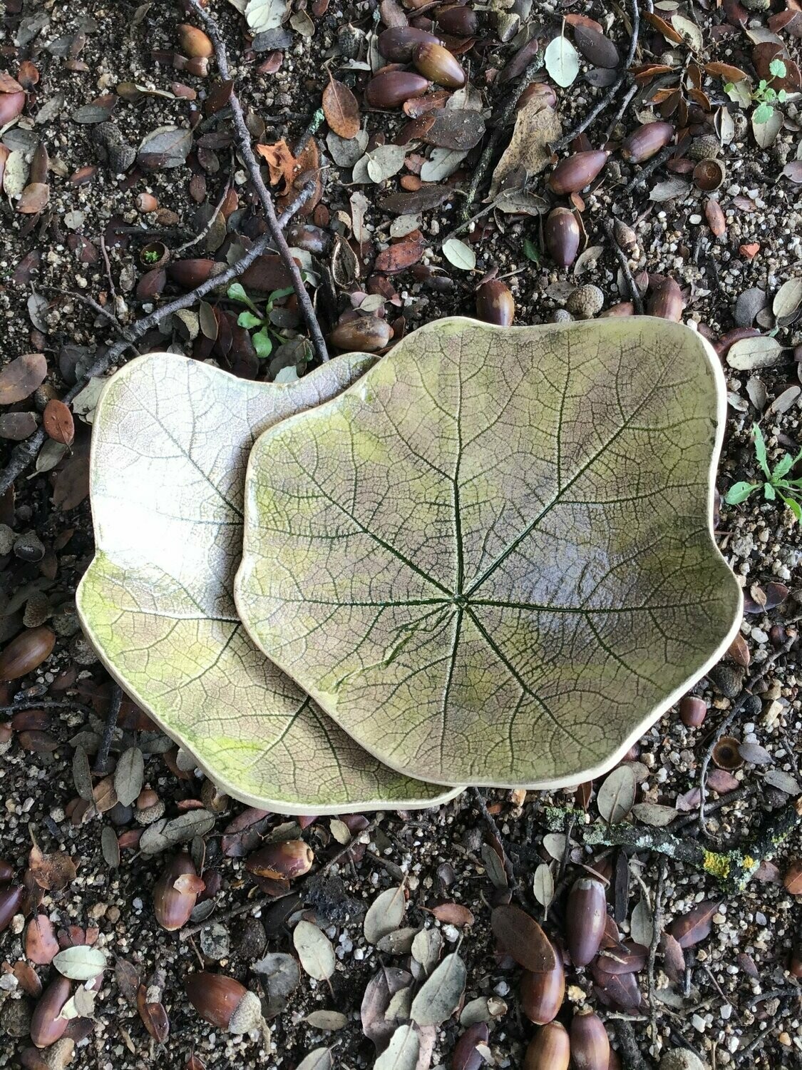 Hoja de Malva Verde oscuro. 17 cm.