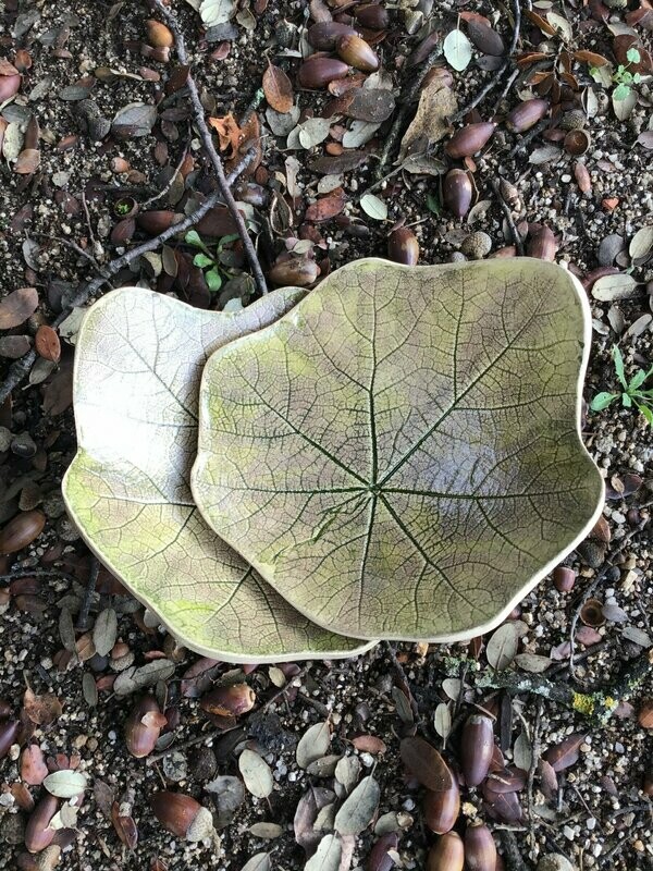 Hoja de Malva Verde oscuro. 17 cm.