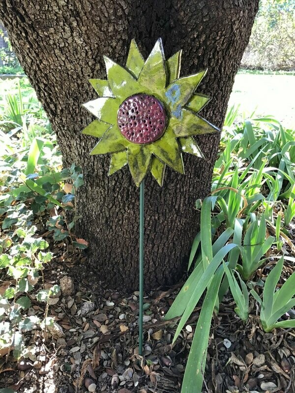 Girasol verde  22 cm x 60 cm.