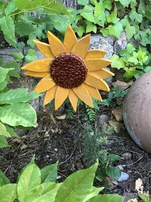 Girasol amarillo. 22cm x 60 cm.