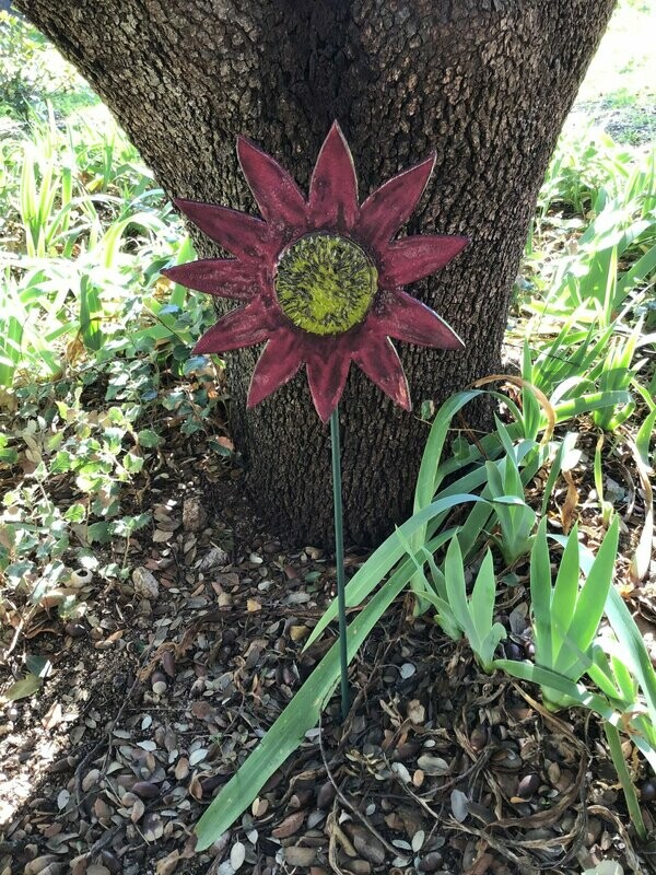 Girasol granate.  22 cm x 60 cm.