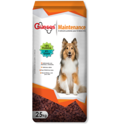 Guesos Maintenance
