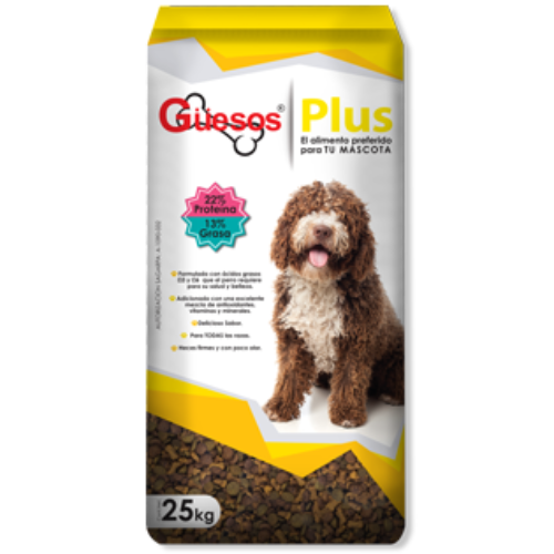 Guesos Plus