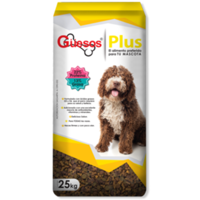 Guesos Plus