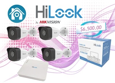 Cámaras Hilook 1080