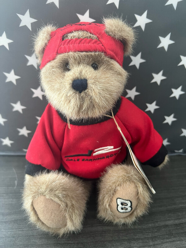 Dale Earnhardt Jr BEAR