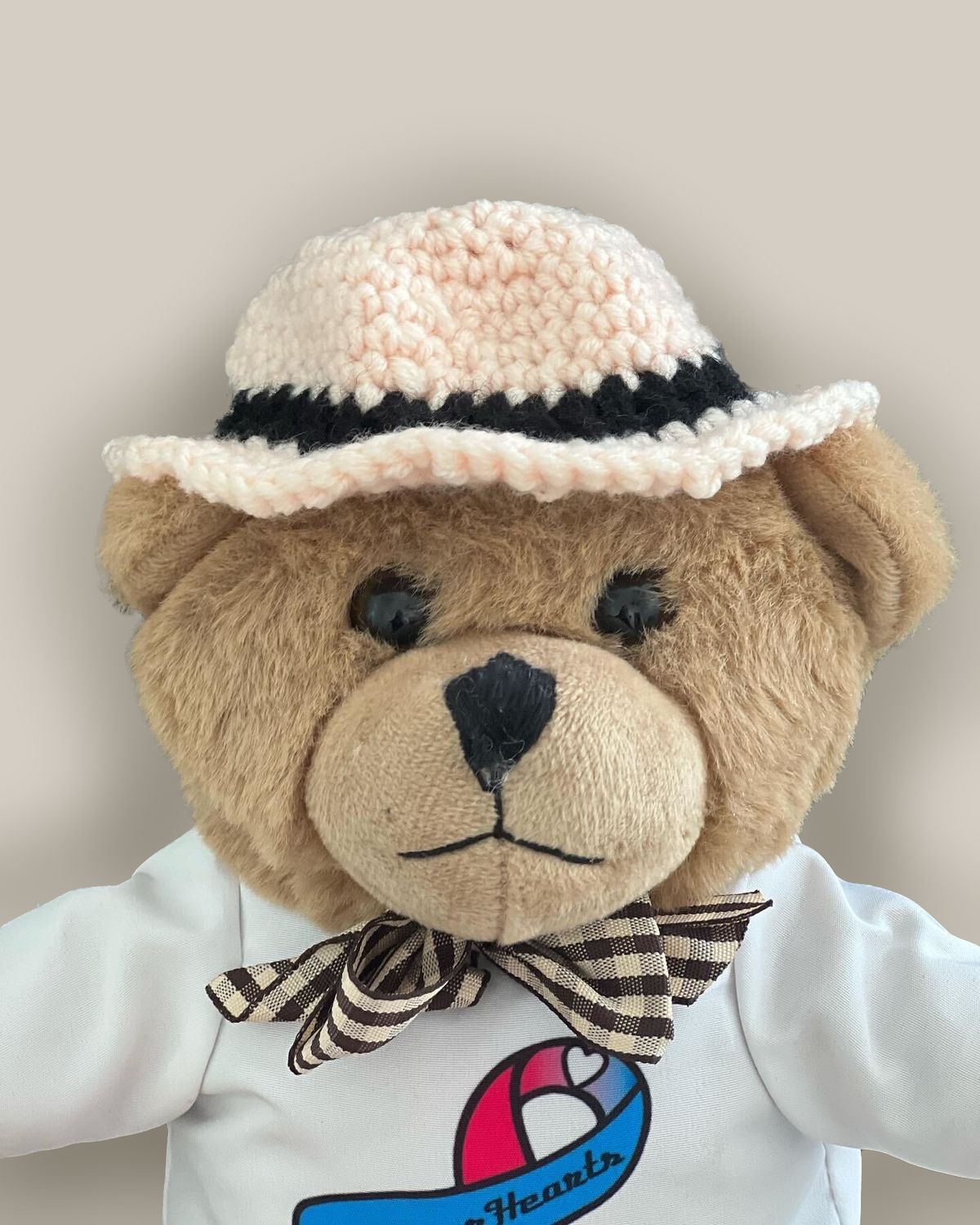 Project B.E.A.R. Plush Bear - WITH HAT
