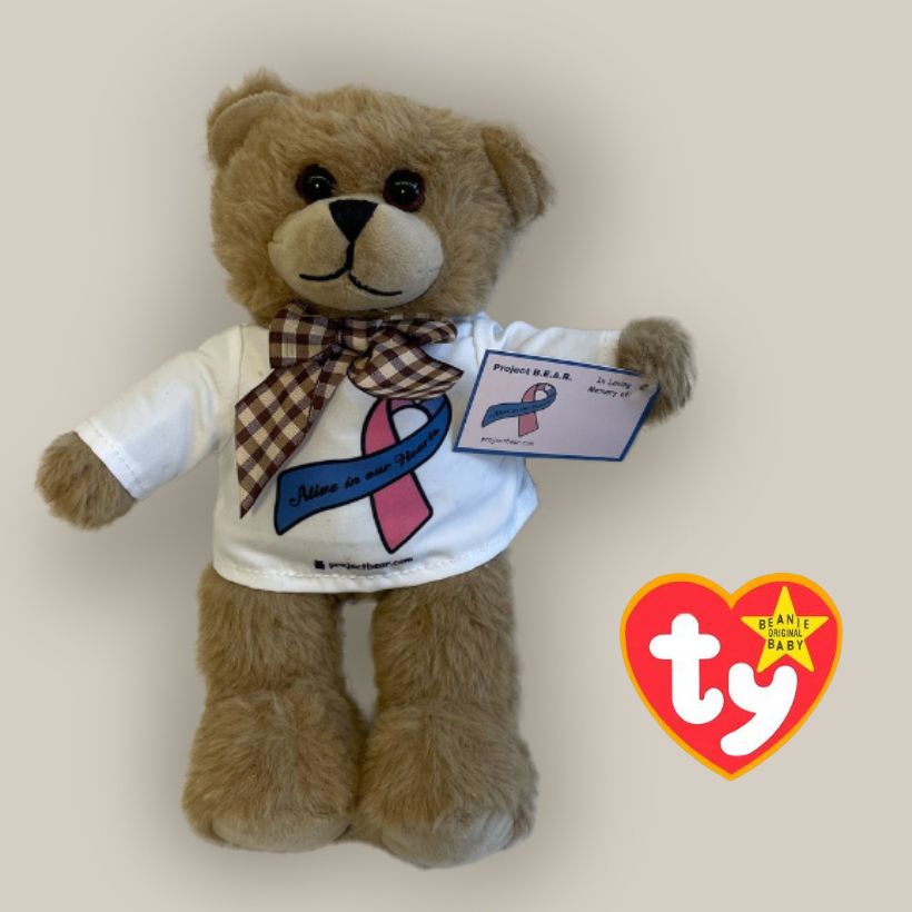 Project B.E.A.R. Plush Bear - WITH BUDDY