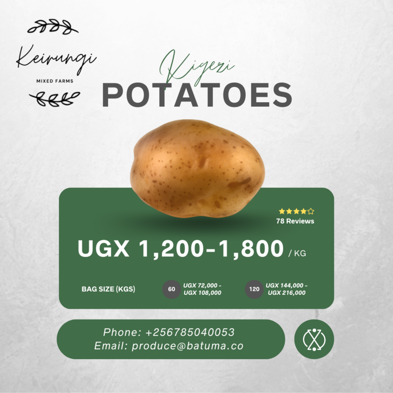 Kigezi Irish Potatoes