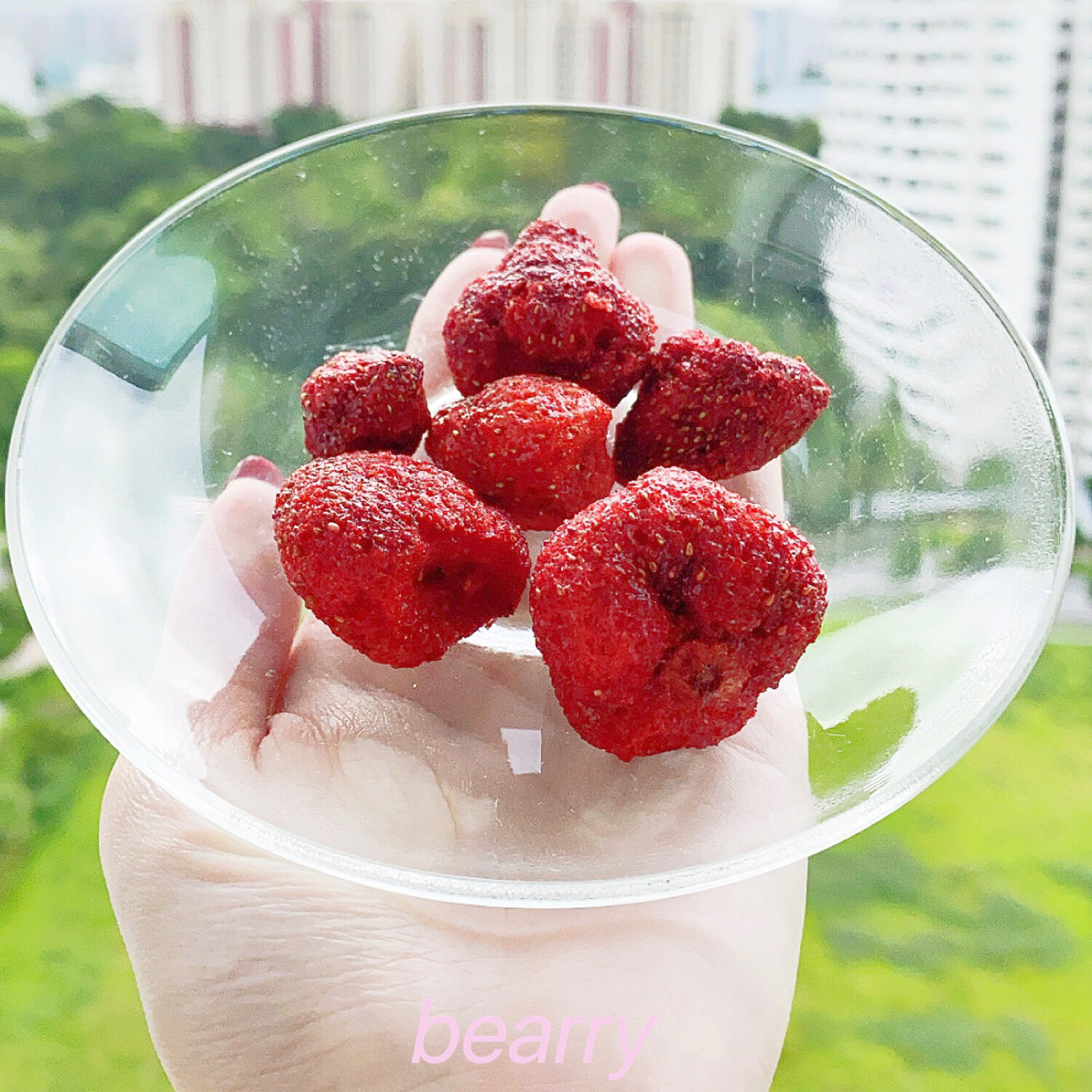 Freeze Dried Korean Strawberry
