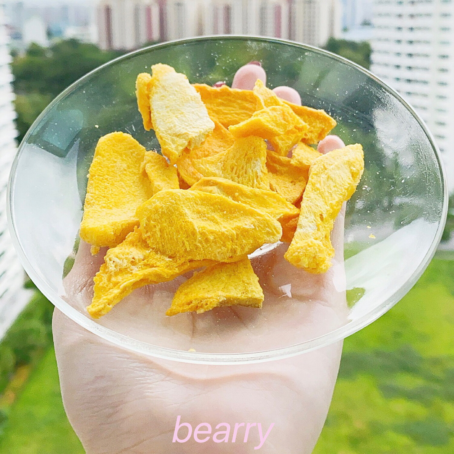Freeze Dried Mango