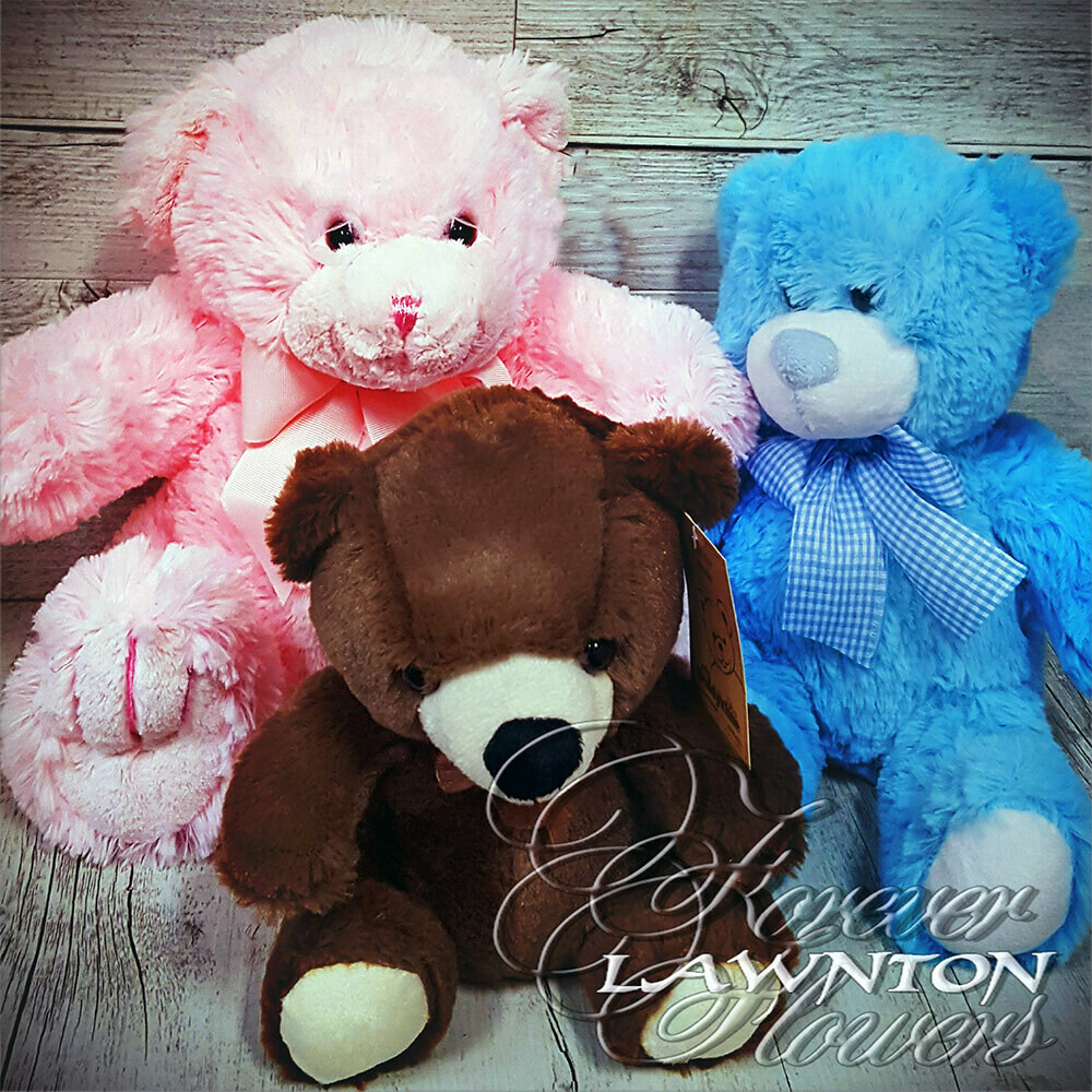 Teddy Bear, Size: Small
