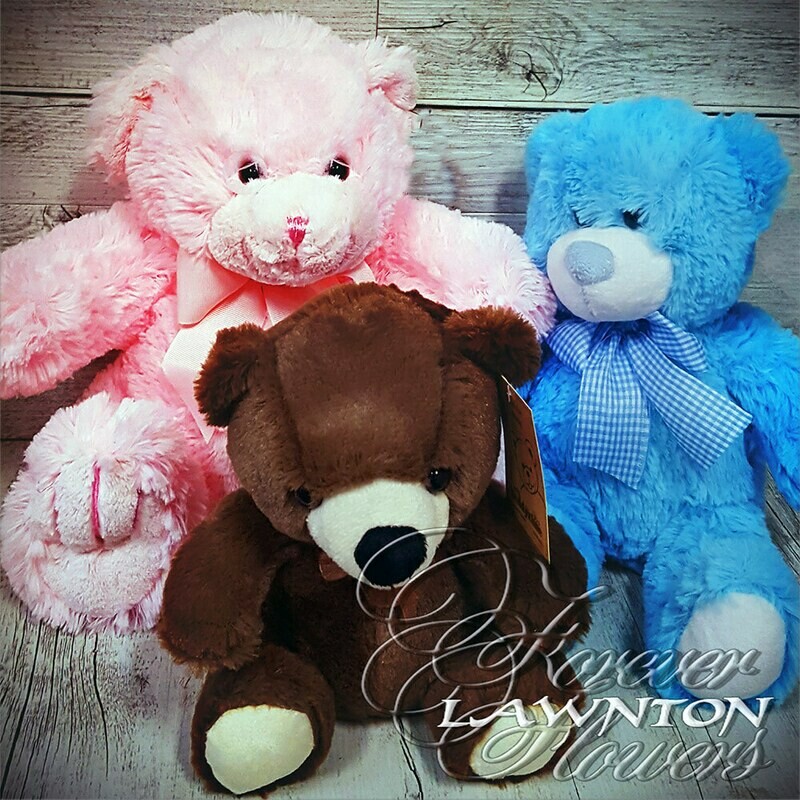 Teddy Bear