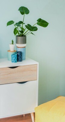 Shop Pots, Plant Care &amp; Plant Inspired Decor