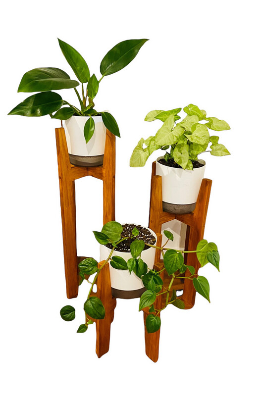 Set of 3 Wooden Plant Stands (or buy seperately)