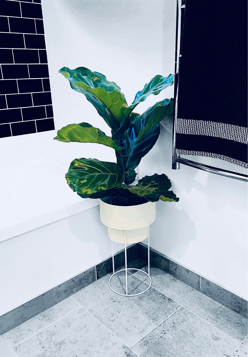 White Metal Plant Pot Stand (plant sold seperately)