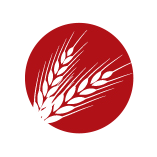 Import gedistilleerd