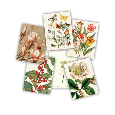 Medium kort doble (8,5x11 cm)