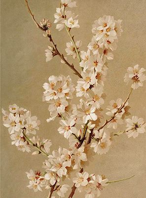 Små Doble kort (ST-2)