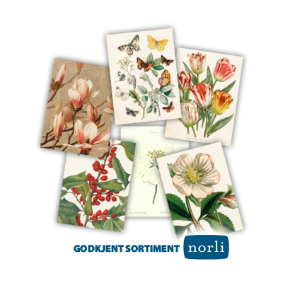 Medium kort doble (8,5x11 cm) NORLI