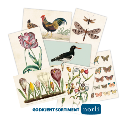 Enkle kort (10x15 cm) NORLI