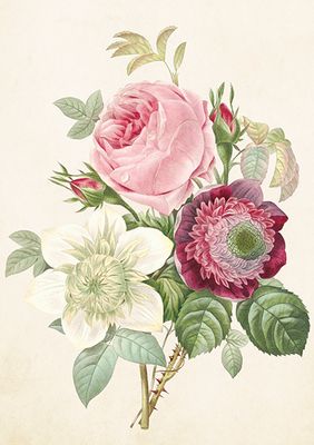 Store Doble kort (ST-1)