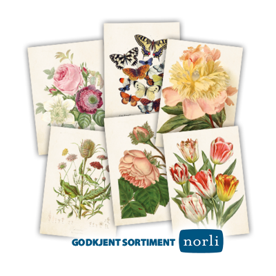 Doble kort (12x17) NORLI