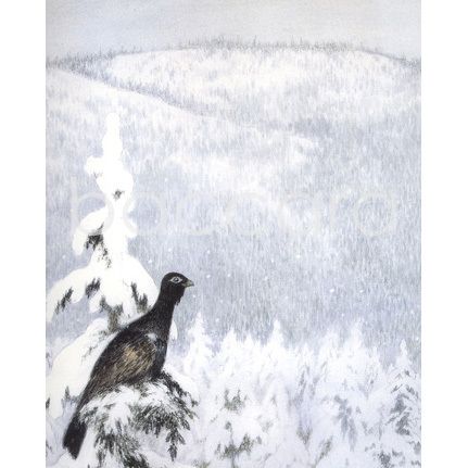 2049 kunstkort 12x17 cm 5-pakk