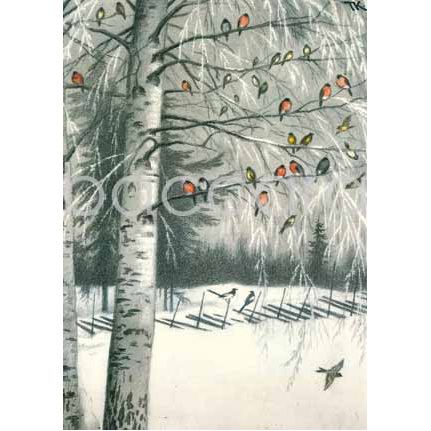 2027 kunstkort 12x17 cm 5-pakk