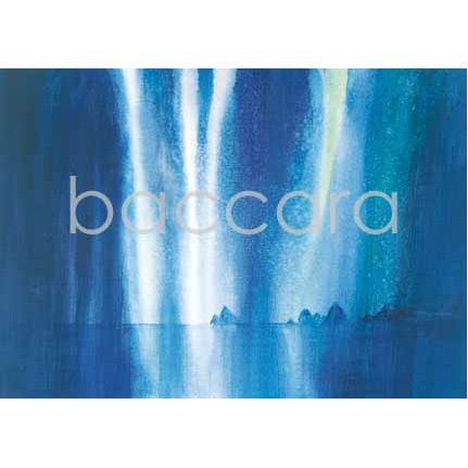 2036 kunstkort 12x17 cm 5-pakk