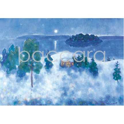 2040 kunstkort 12x17 cm 5-pakk