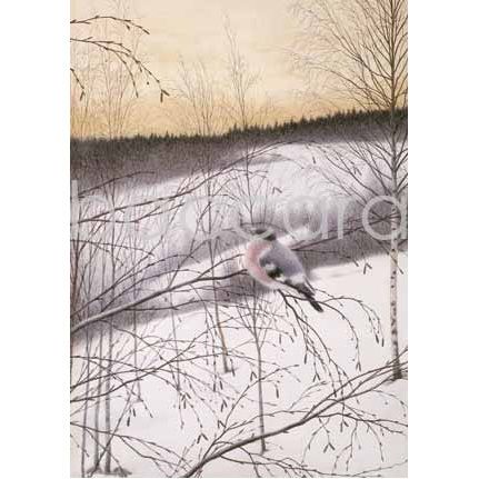 2042 kunstkort 12x17 cm 5-pakk