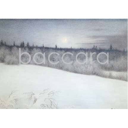 2041 kunstkort 12x17 cm 5-pakk