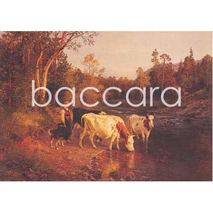 135 A Askevold kunstkort 12x17 cm 5-pakk