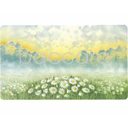 204 Jan Harr kunstkort 12x17 cm 5-pakk