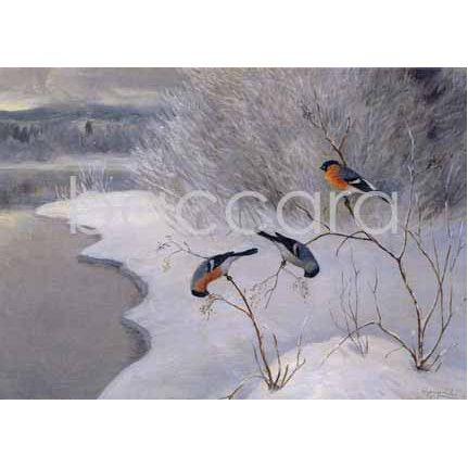 2048 kunstkort 12x17 cm 5-pakk