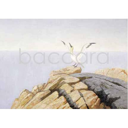 167 Th Kittelsen kunstkort 12x17 cm 5-pakk