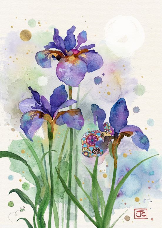 Bug Art Doble Kort 12x17