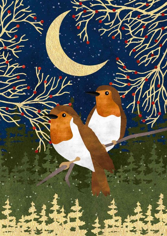 Artige Moonstone 12x17 doble