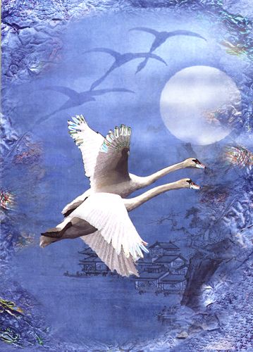 Artige Vivien 12x17 doble