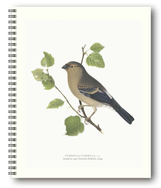 Gullers Trading Skrivebok ulinjert