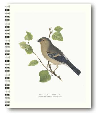 Gullers Trading Skrivebok ulinjert