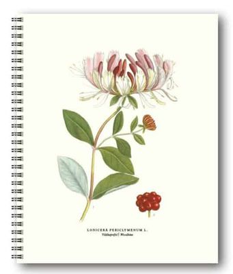 Gullers Trading Skrivebok ulinjert