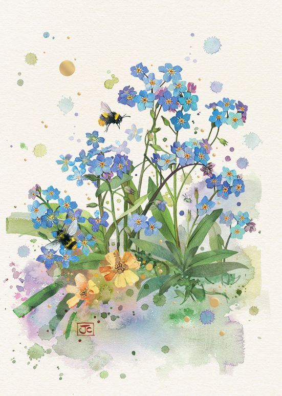 Bug Art Doble Kort 12x17