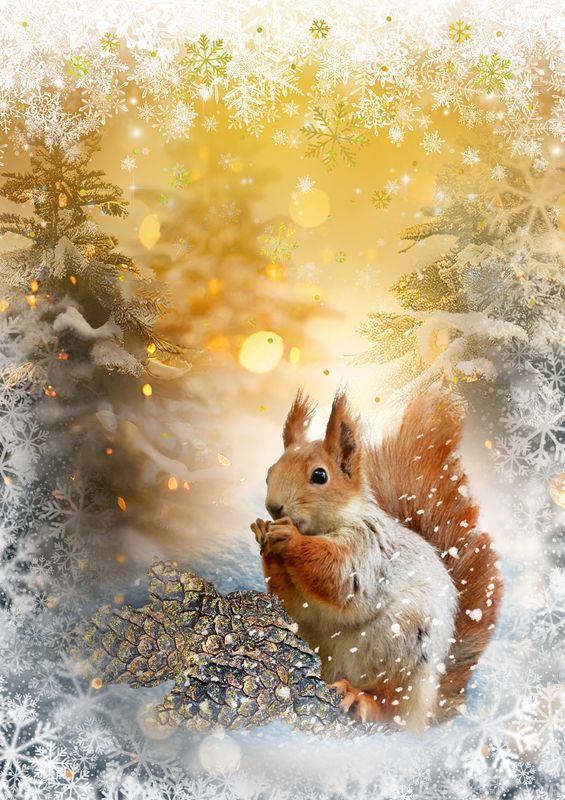 Artige Noel 12x17 doble