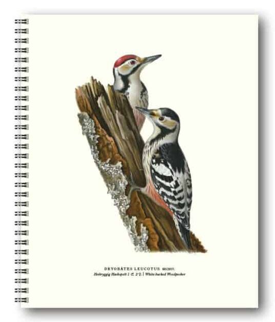 Gullers Trading Skrivebok ulinjert